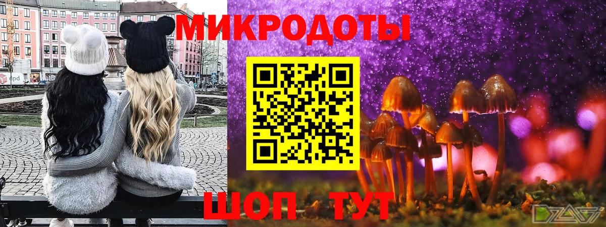 Галлюциногенные грибы GOLDEN TEACHER  Вход с VPN  Великий Устюг  купить наркотики сайты  Псилоцибиновые грибы Magic Shrooms 