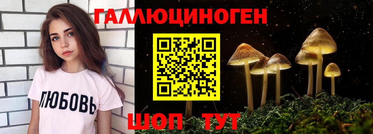 Галлюциногенные грибы Cubensis Великий Устюг