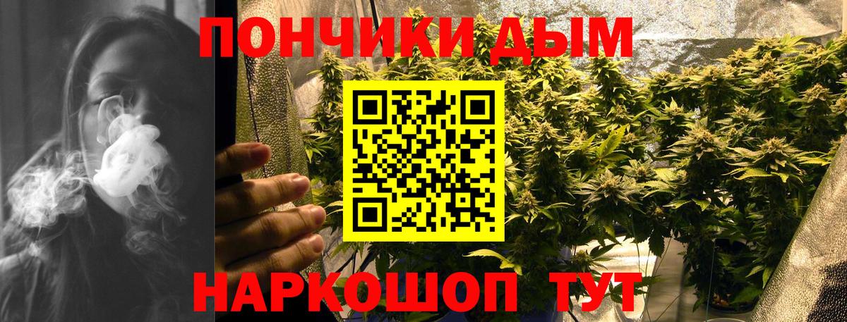 Канабис Amnesia Великий Устюг